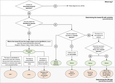 Recommendations for the Standardisation of Open Taxonomic Nomenclature for Image-Based Identifications